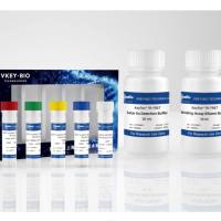 KeyTec® TR-FRET GDP loaded KRAS[G12D]/SOS1 Binding Assay kit