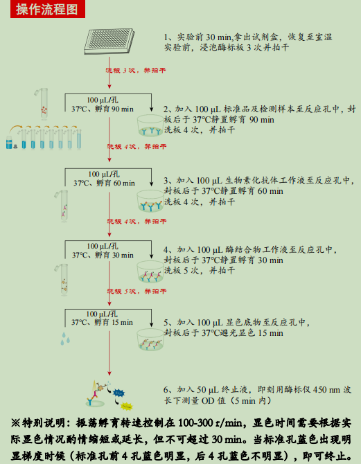 人白细胞介素1家族成员9酶联免疫试剂盒