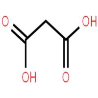 丙二酸
