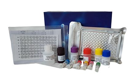 上海通蔚生物”6.18“预热大鼠ELISA试剂盒新品上架活动来袭