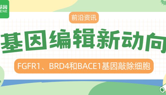 【前沿资讯】基因编辑新动向——FGFR1、BRD4和BACE1基因敲除细胞
