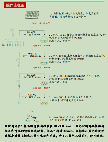 人白细胞介素8检测试剂盒