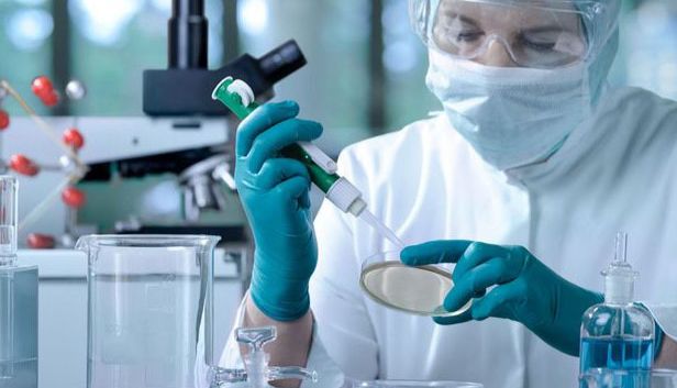 RT-PCR和实时荧光定量PCR实验区别分析