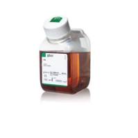 Gibco血清|10099-141胎牛血清|优级胎牛血清FBS