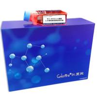 NCI-H460/cis细胞 ; 人大细胞肺癌顺铂耐药株