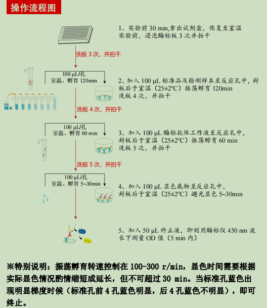 大鼠免疫球蛋白G（总量）检测试剂盒