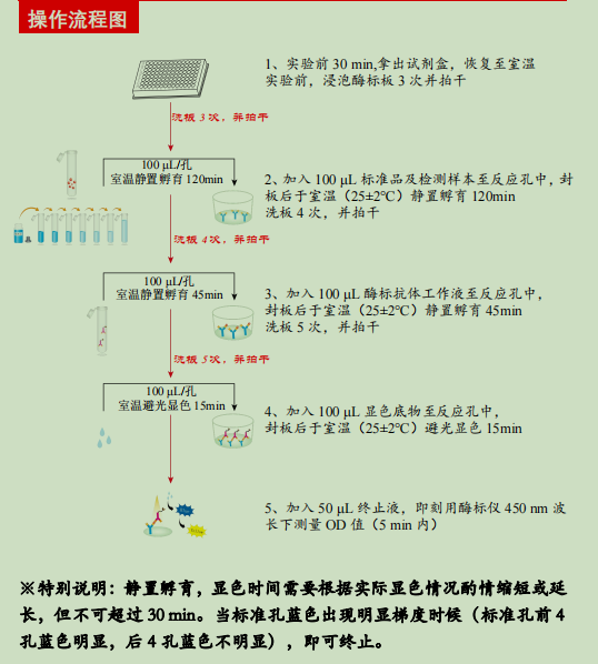 鸭免疫球蛋白G 检测试剂盒