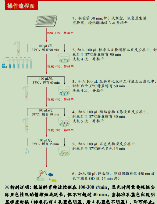 小鼠髓过氧化物酶检测试剂盒