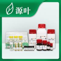 SDS-PAGE蛋白加样缓冲液(2×，含TCEP)