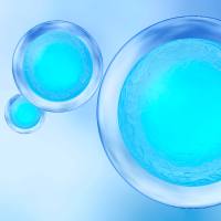 外泌体专用间充质干细胞培养基（无酚红）