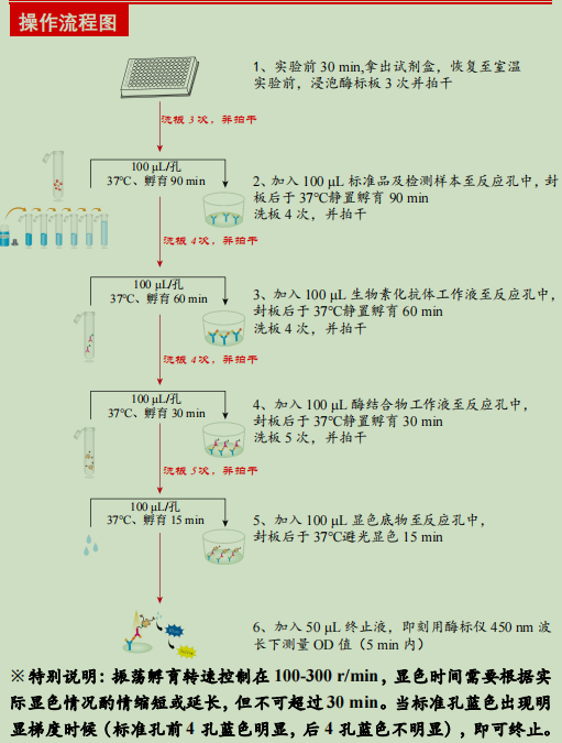 人白细胞介素1受体4检测试剂盒