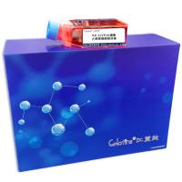 EG-3/VP16细胞 ; 人绒癌细胞耐药株