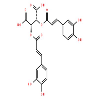 二咖啡酰菊苣酸