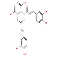 二咖啡酰菊苣酸