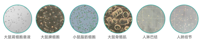 产品细节图片1