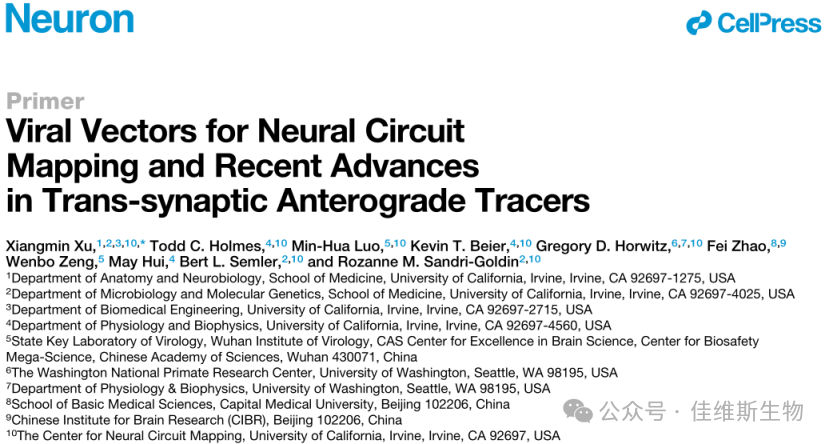重大研究突破 | 神经环路示踪与组织透明化技术结合，助力神经科学研究！