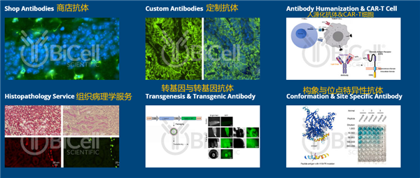 Bicell Scientific-1.png