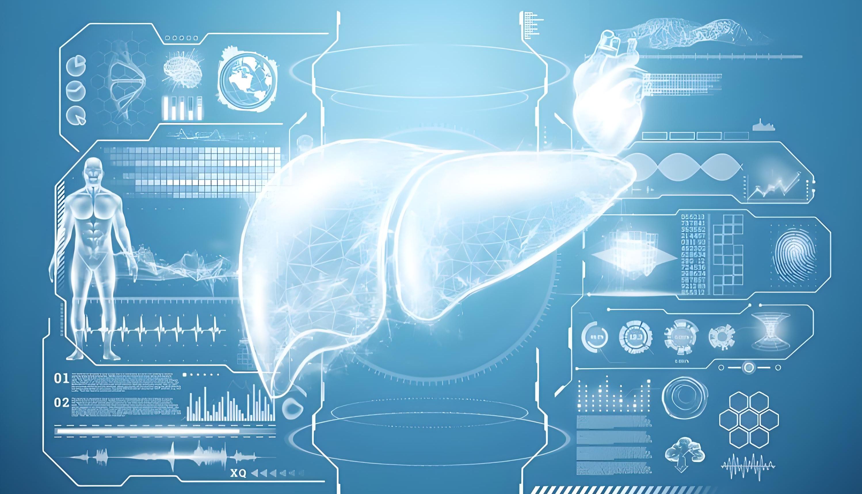 胆汁酸的分类及作用