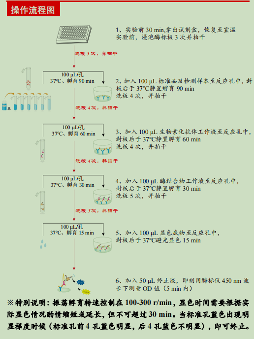 人补体因子H检测试剂盒