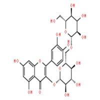 槲皮素-3-龙胆二糖甙