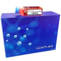 Pan02-CAG-tTA-2D1细胞 ; tTA基因修饰的小鼠胰腺癌细胞