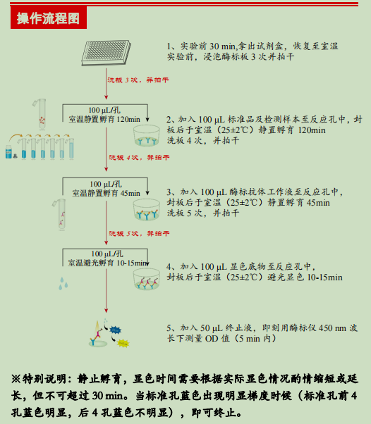 牛免疫球蛋白G检测试剂盒