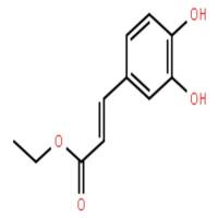 咖啡酸乙酯