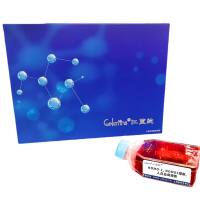 NOMO-1细胞 ; 人白血病细胞