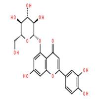 木犀草素-5-O-葡萄糖苷