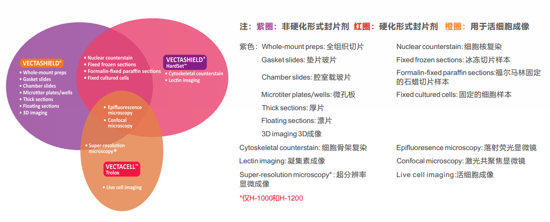 卓越的防荧光淬灭封片剂--VECTASHIELD Antifade Mounting Media 卓越的防荧光淬灭封片剂--VECTASHIELD Antifade Mounting Media