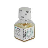 马血清,SH30074.02