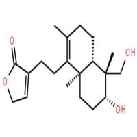 去氧穿心莲内酯