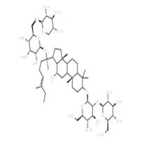人参皂苷Rb3