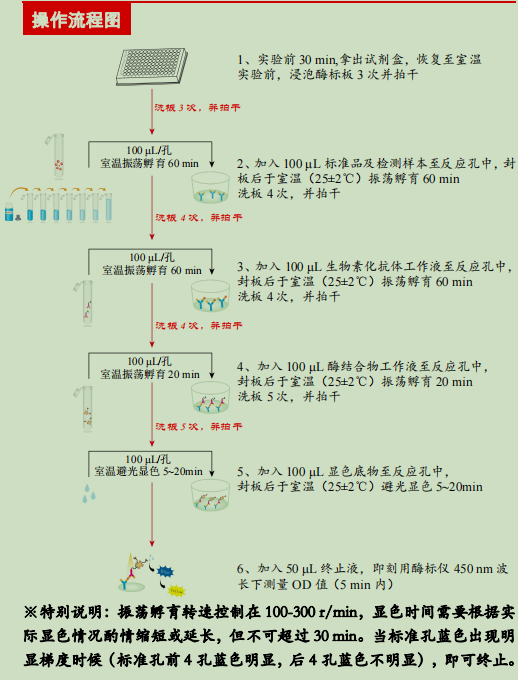 牛白介素1β Elisa试剂盒