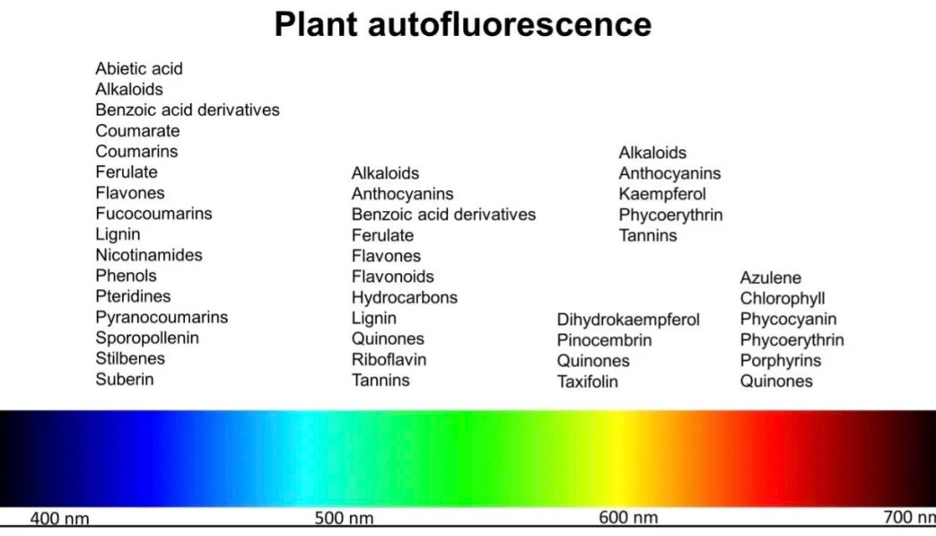 全光谱自发荧光分选功能首/发，解锁海洋生物免疫指纹密码