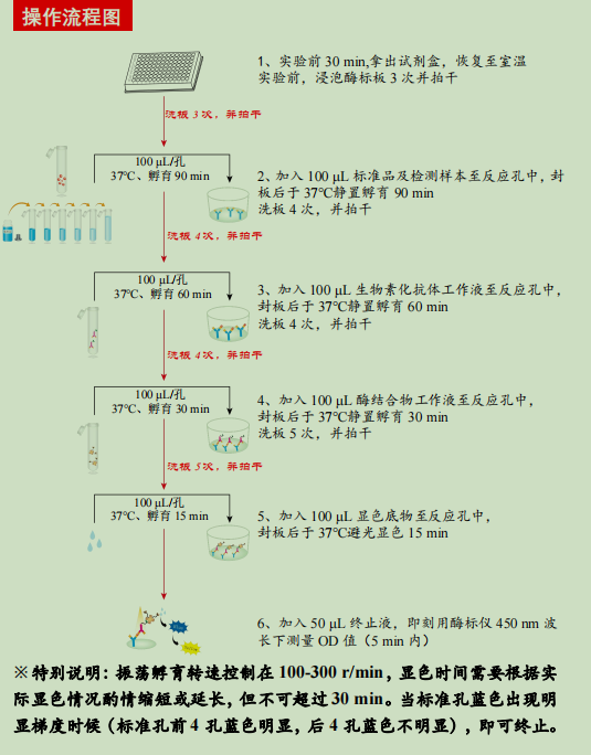 人白细胞介素27检测试剂盒
