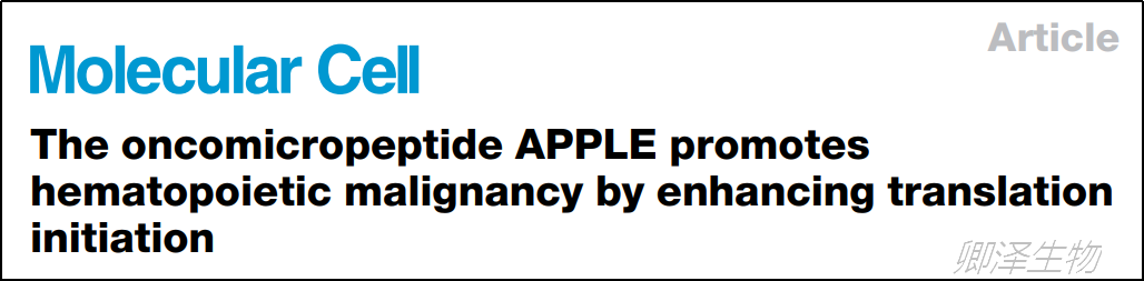 Mol Cell. | Ribo-seq和Polysome profiling技术助力挖掘白血病中功能微肽