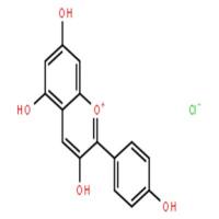 天竺葵素(氯化花葵素)
