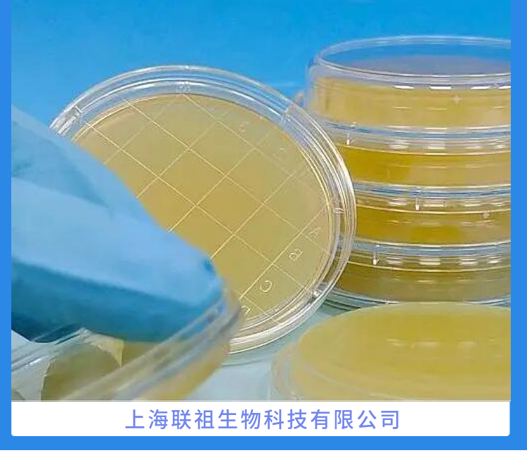 IPTG干粉(蓝白斑筛选用)(诱导表达用)