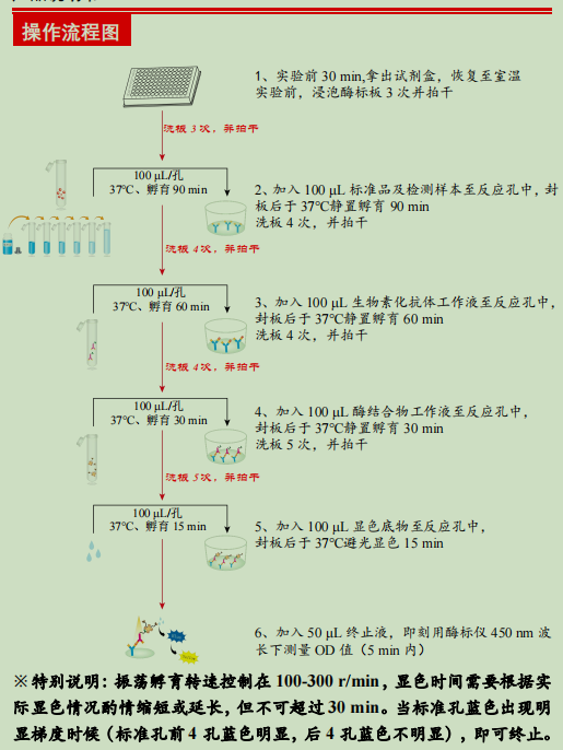 人基质金属蛋白酶8检测试剂盒