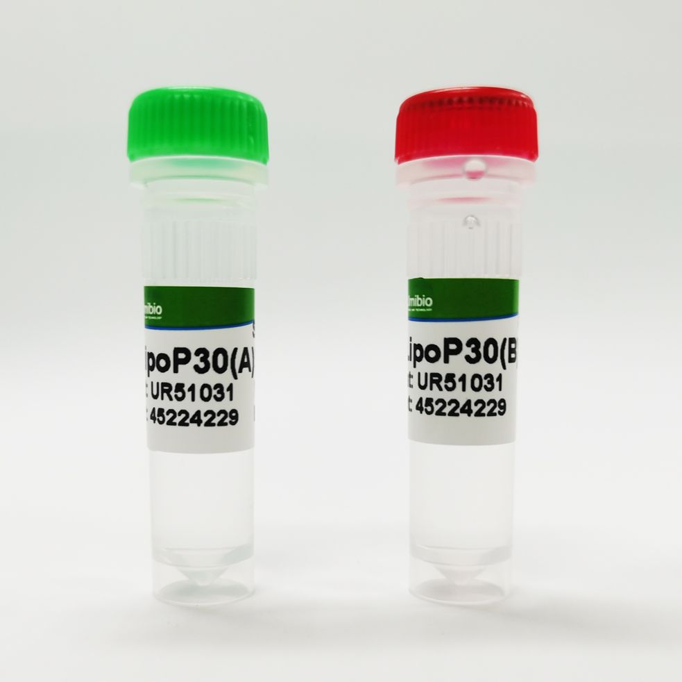 LipoP30 转染试剂