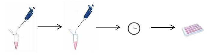 PolyToolTM mRNA Transfection R