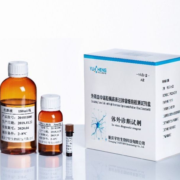 外周血中端粒酶高表达肿瘤细胞检测试剂盒