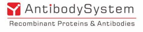 艾美捷荣获AntibodySystem代理-高品质蛋白，抗体供应商