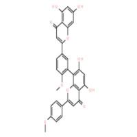 异银杏双黄酮