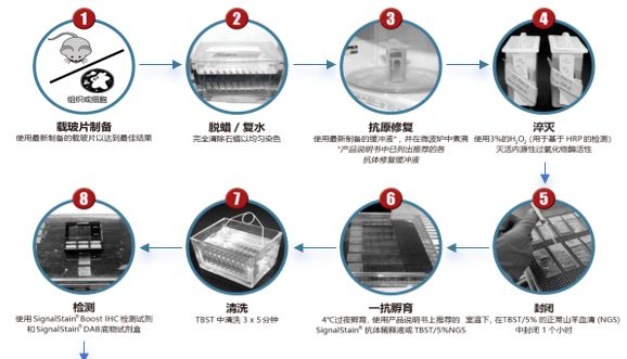 答应我，看完再做IHC（上）