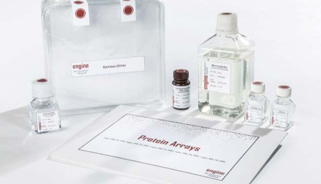 生物标志物检测服务