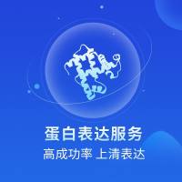 原核蛋白表达-原核（E. coli）表达系统