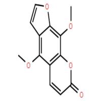 异茴芹内酯
