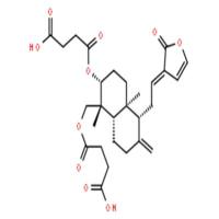 脱水穿心莲内酯琥珀酸半酯